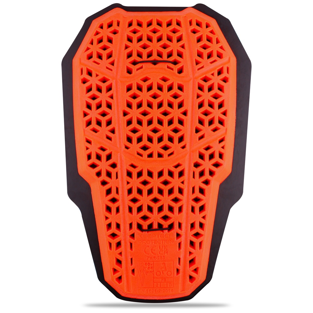 TRAXMOTO: Protetor de Costas